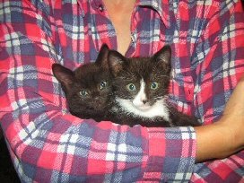 Pedro & Tomsk