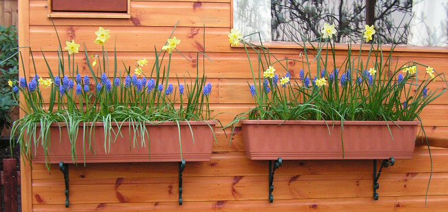 The Garden Room, flowers