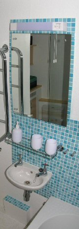 The Garden Room, en suite bathroom